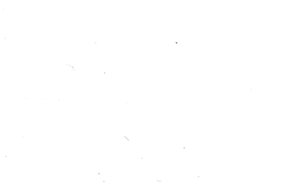 Image 59